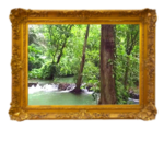 tropisch-regenwoud levend schilderij beleef tv